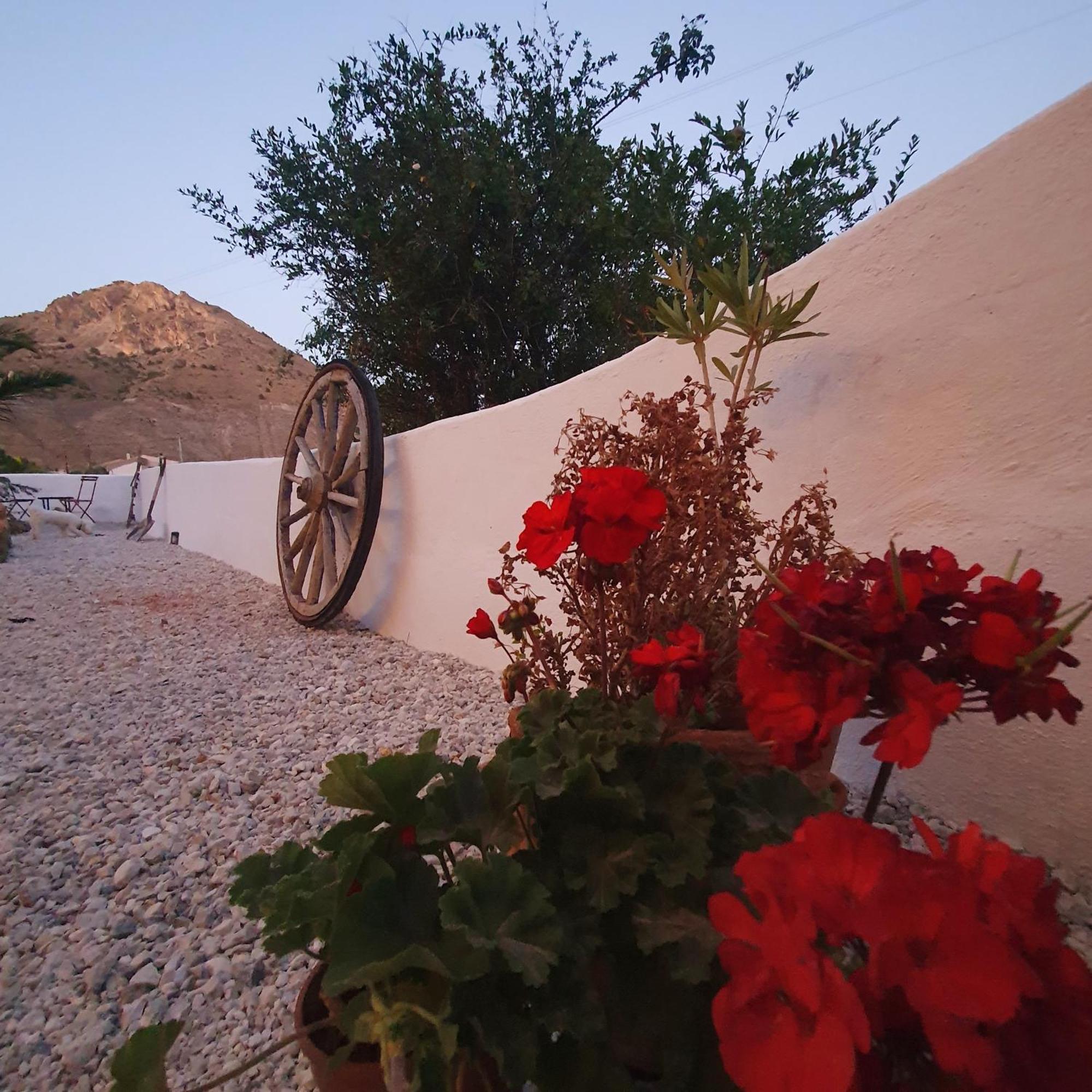 Casa Satori Bed & Breakfast Oria Exterior photo
